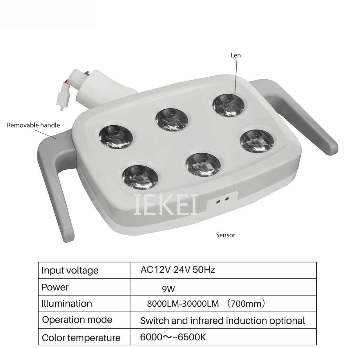 6LED Dental Oral Light Suitabl - Teeth Whitening With Light reseña y precio
