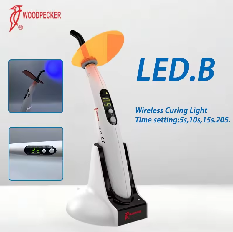 Dental Curing Light Woodpecker - Teeth Whitening Lamp reseña y precio