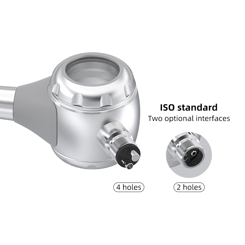 VV Dental 2/4 Holes Teeth Whit - Teeth Whitening Usa reseña y precio