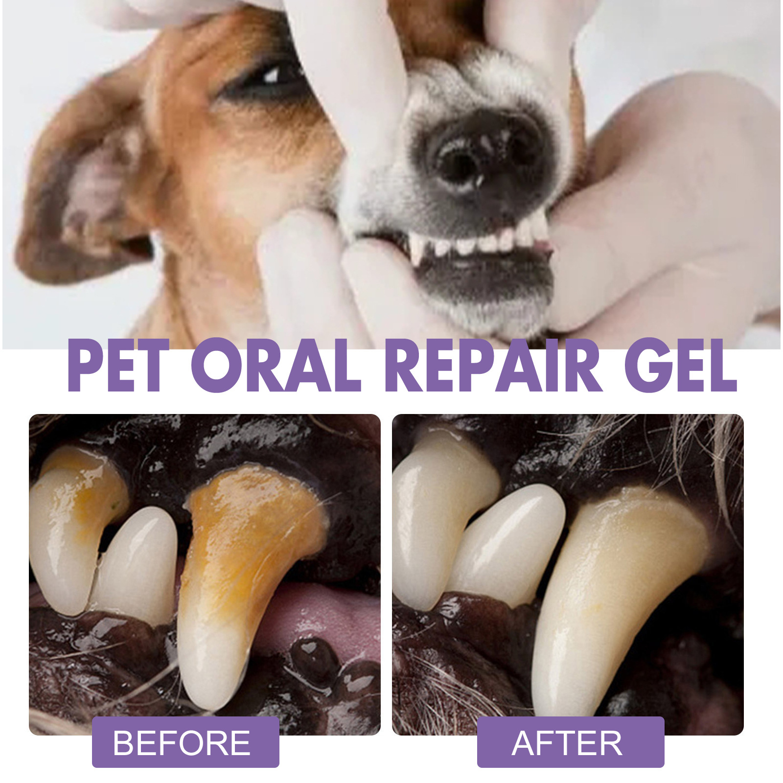 Pet Oral Repair Gel Puppy Tart - Teeth Whitening Remedies reseña y precio