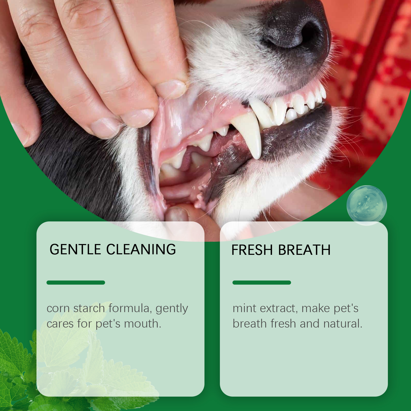 Pet Teeth Cleaning Powder Redu - Teeth Whitening Remedies reseña y precio