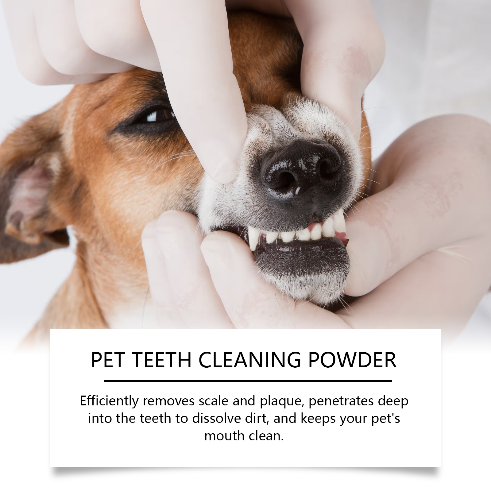 Pet Teeth Cleaning Powder Redu - Teeth Whitening Remedies reseña y precio