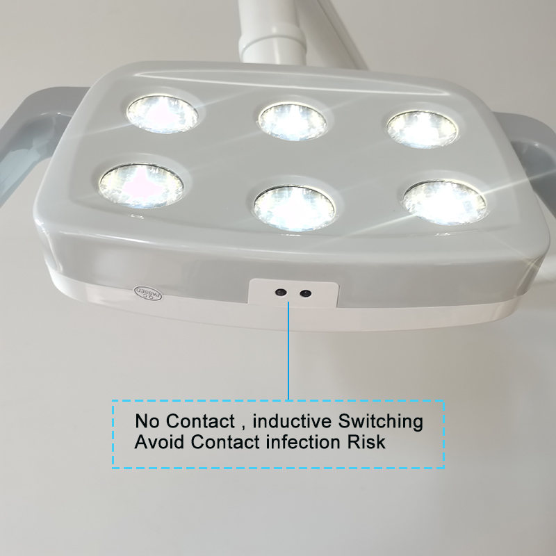 6LED Dental LED Lamp Oral Ligh - Teeth Whitening Lamp reseña y precio