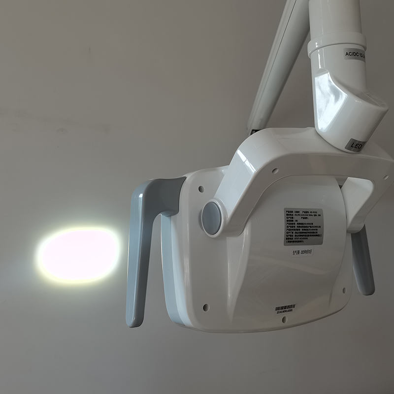 6LED Dental LED Lamp Oral Ligh - Teeth Whitening Lamp reseña y precio